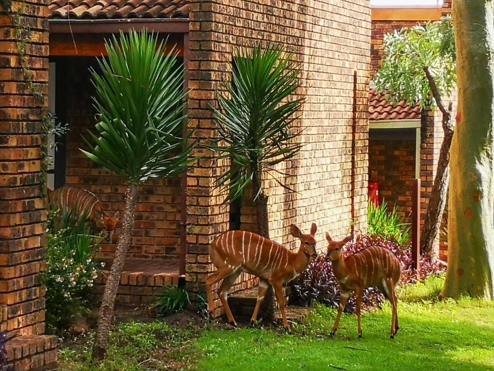 The Venue Country Hotel & Spa Pelindaba Exterior foto